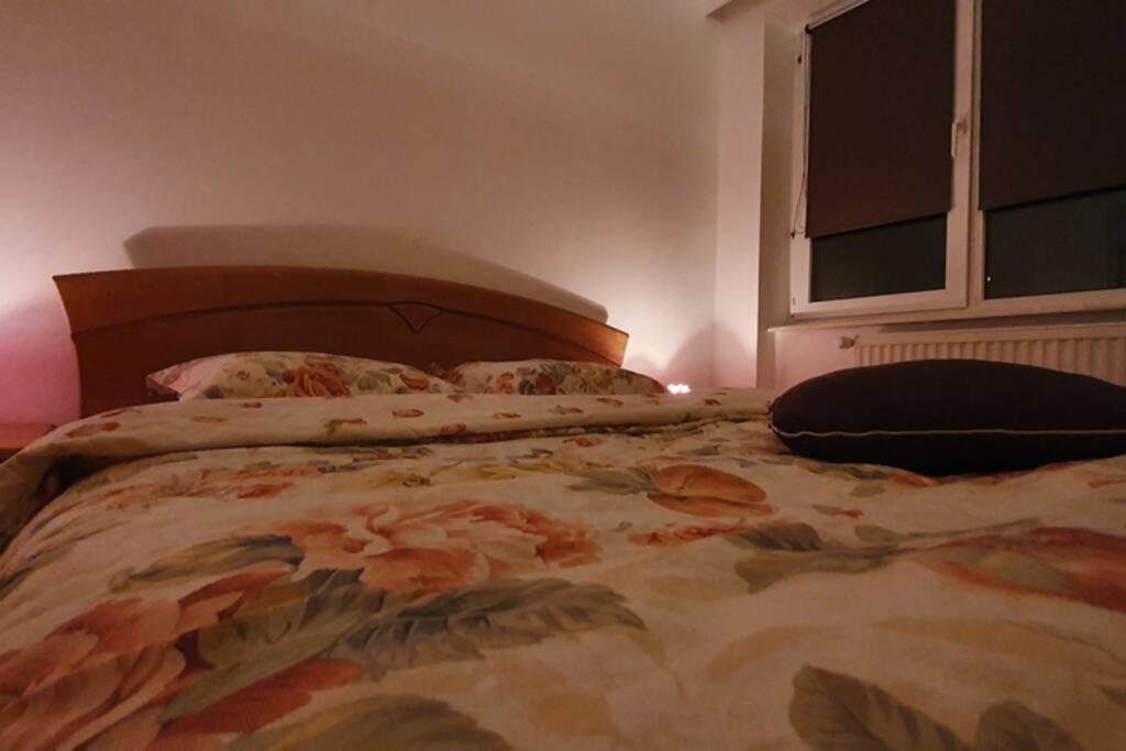 Titian's Cozy Apartment Hermannstadt
